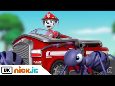 Paw Patrol | Pups Save Tiny Marshall | Nick Jr. UK