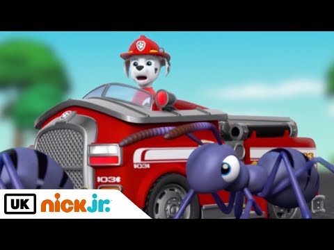 download lagu mp3 mp4 Marshall, download lagu Marshall gratis, unduh video klip Marshall