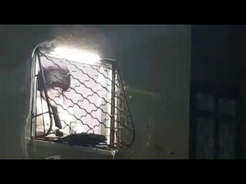 Pittsburgher Rebbe: Sfira [covid19]