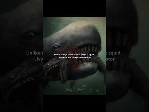 Megalodon vs Livyatan – Who Would Win? 🦈🐋💥