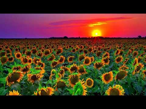 Anemosphere  - Kyra (Redstar Extended Remix)