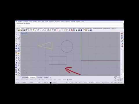Rhinoceros in pillole 4
