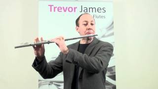 Trevor James Cantabile flute
