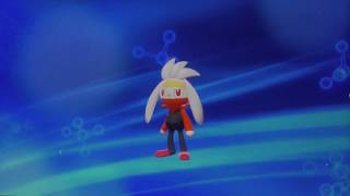 【ポケモン ソードシールド】ラビフット進化【ヒバニー エースバーン】