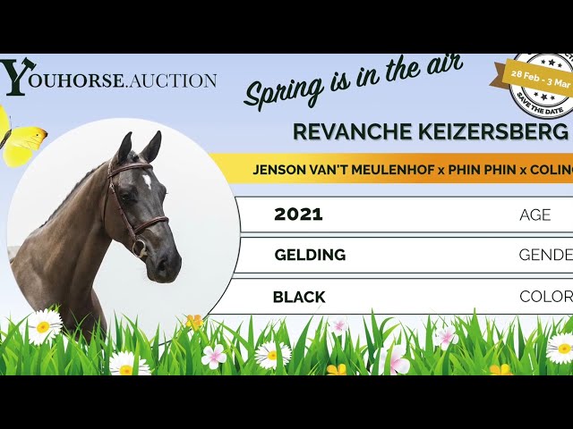 Revanche Keizersberg