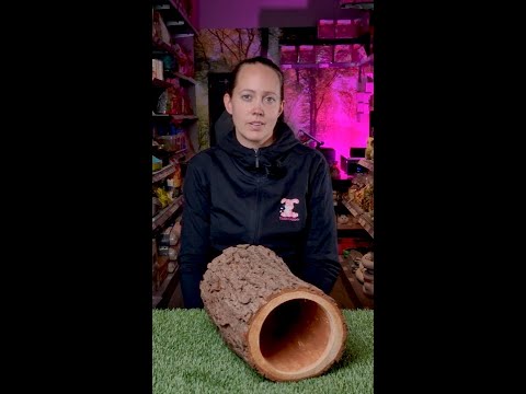 Wild Barktunnel Heavy 35x18cm - Video
