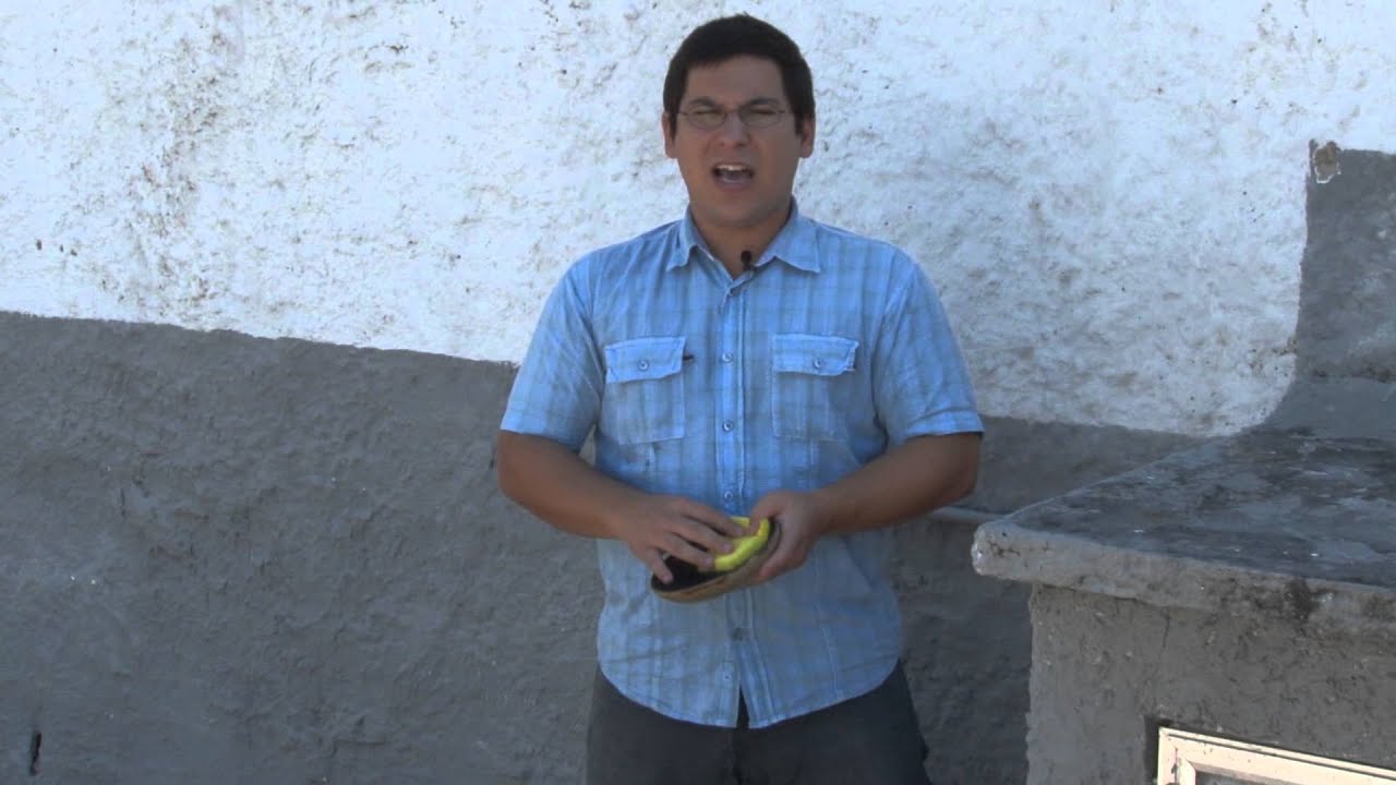 Módulo 3 | Criadouros e Hábitos