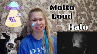 Первая реакция на Molto Loud - Halo MV Reaction+Theory
