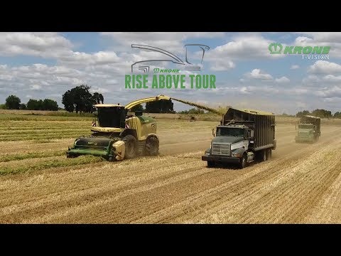 Rise Above Tour – Von BiG X bis Barbecue