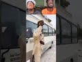 Khaby Lame Police Funny Video Short Video Viral Video Funny Video