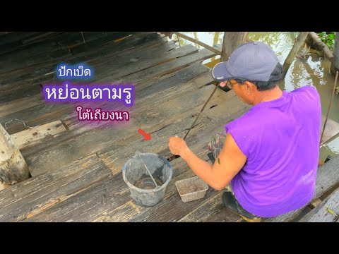 คลิกเพื่อดูคลิปวิดีโอ