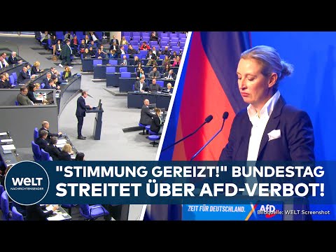 Video Thumbnail: WEIDEL-PARTEI: Bundestag debattiert über AfD-Verbot! Scharfe Attacken auf Union!