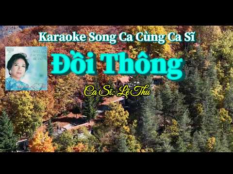81. Đồi Thông