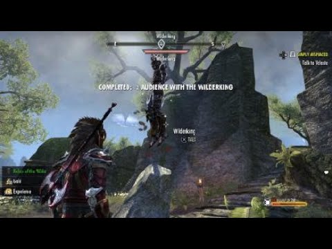 The Elder Scrolls Online: Tamriel Unlimited Audience with the wilderking