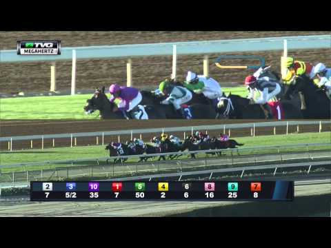 Megahertz Stakes on TVG