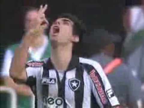 Os gols do Botafogo 2010 - Flamengo 1 x 2 Botafogo (Final Taça Rio e Carioca)