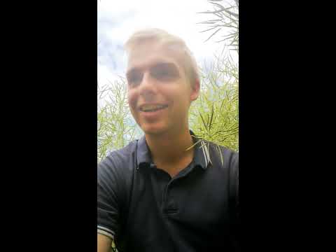 Mehr Artenvielfalt!  "Weißklee untersaat". Haben wir die lösung im Raps ?