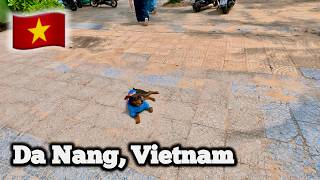 Da Nang Is Back! Sunshine & Life Return to the Streets ☀️