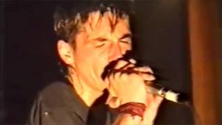 H.D.Q. live 1988