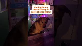 #boardgames #germanshepherd #trending