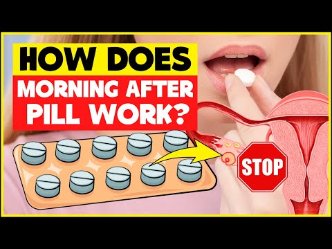 How morning after pill works? The science of "Plan B" │ Emergency Contraceptive pill