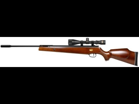 Review, Beeman Mach 12.5  .22 Cal Pellet Rifle (Big Power)