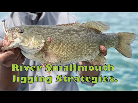 Csf 33 05 River River Smallmouth Bass Strategies.