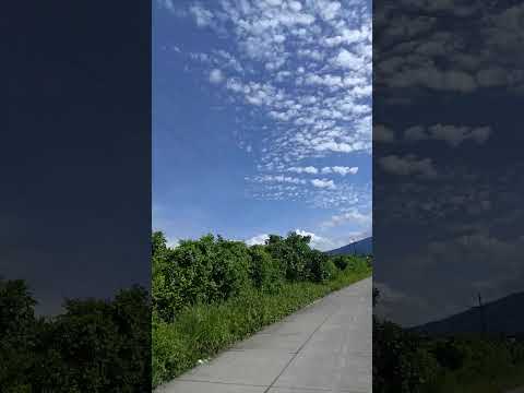 Una linda vista del camino hacia Aldea el Esfuerzo de #santabarbarasuchitepequez 🇬🇹 🙂 #shorts