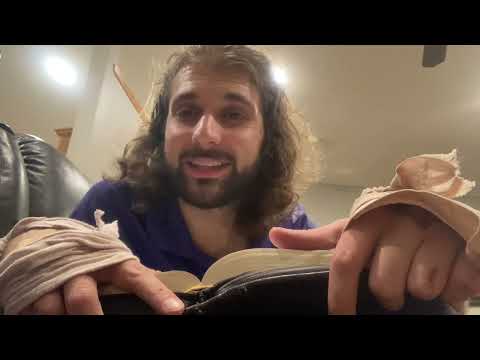 Day 221 Bible in the year