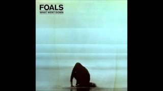 Birch Tree - Foals (2015)