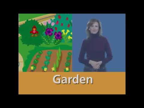 Jordan's Sound Effects Compilation No.29:Sound Ideas, BIRD, BLUEBIRD - BLUEBIRD CHIRPS, ANIMAL V.2