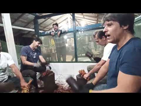 Linha do Tucum - última bateção (feitio 2022)