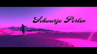 METRICKZ feat. BUSHIDO - Liebe & Hass (Mashup)