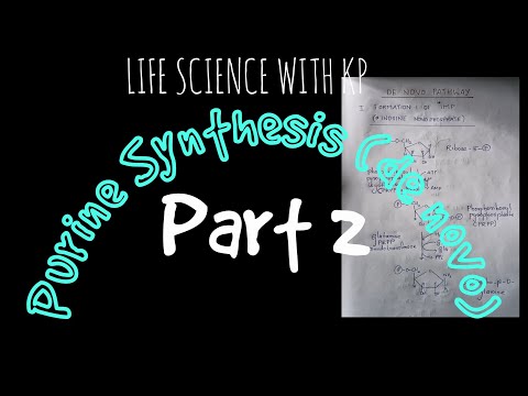 PURINE SYNTHESIS ( denovo ): PART 2.Vlog 27.