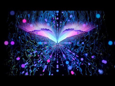 RECREATE Who You Are 💫 285 Hz QUANTUM Remembering 🌈 Nature Sounds⎪Ultra Shamanic Drums⎪No Music
