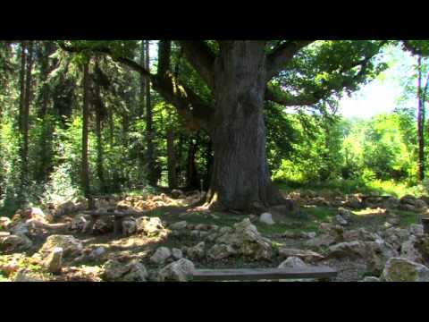 Naturpfad "Sinneswandel"