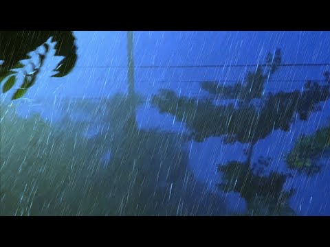 Stormy Night with Heavy Rain & Powerful Thunder, Loud Wind, Dense Lightning to Deep Sleep Instantly