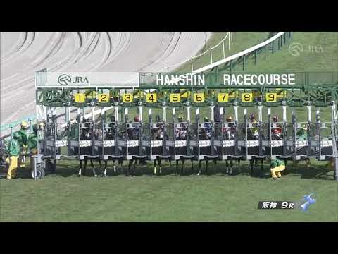 2021/10/23　テーオーロイヤル　兵庫特別