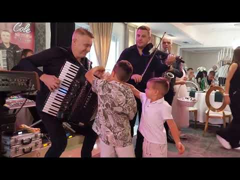 ORKESTAR SAŠE DIMITRIJEVIĆA COLETA - UVODNI INSTRUMENTAL (BEOGRAD 2025)