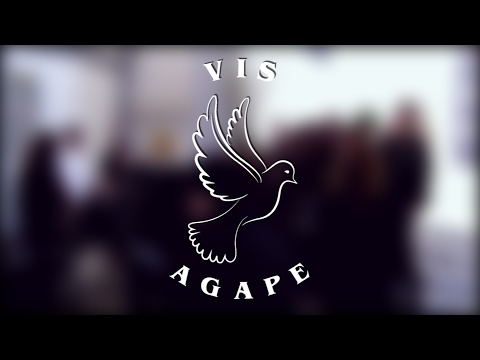 VIS Agape - Dubine
