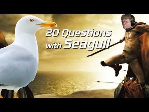 NRG Seagull 20 Questions