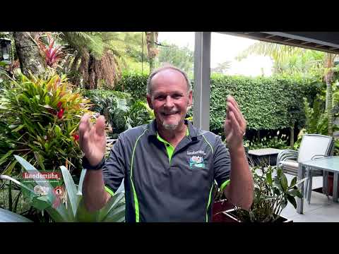 Guide To Better Living Episode 3 Darrell Smith From Landsmiths How To Increase Your Homes Value