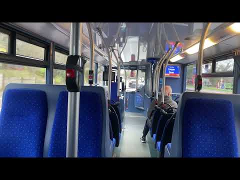 Retake of 1101 (HW08 AOP) (Downstairs)