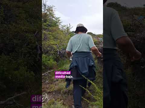 Trekking a El Sapo en 📍Trevelin, Chubut,  Patagonia 🇦🇷. #treeking #elsapo #trevelin #chubut