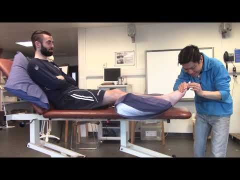 Manual Muscle Testing: Leg muscles