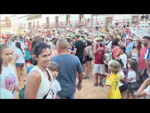Encierro de minibueyes en Lumbrales