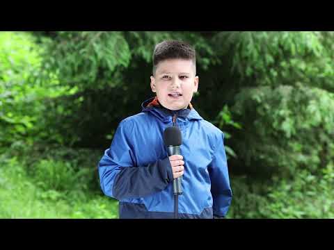 Vremea LIVE din Tabăra TV - Andreas Gatej