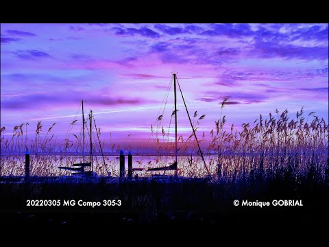 20220305 MG Compo 305 3