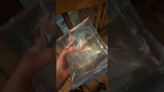 Ziplock Bag