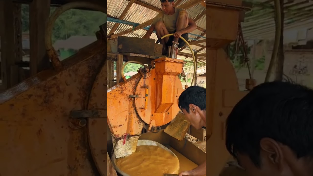 Separating gold from alluvial gold#goldselectionshaker #extractinggold #goldenselection  #machine